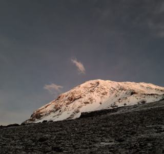 IMG_2419