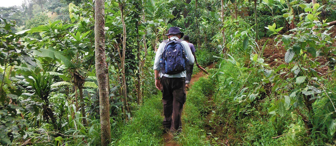 Materuni-Waterfalls-and-Organic-Coffee-Tour-Banner