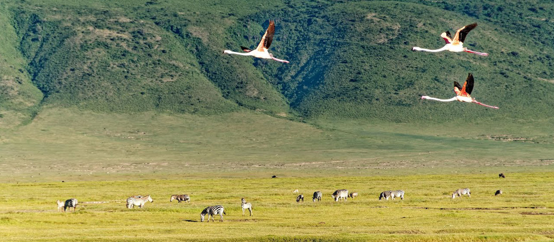 Ngorongoro-Crater-Banner
