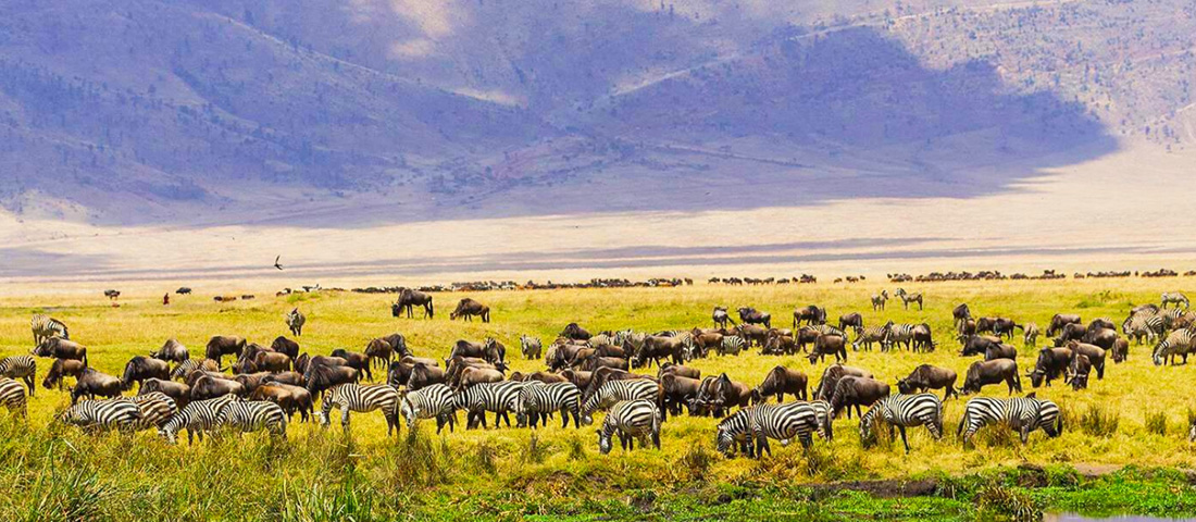 Tanzania-Day-Trips-Banner