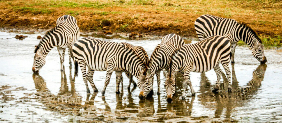 Tarangire-National-Park-Day-Trips-Banner