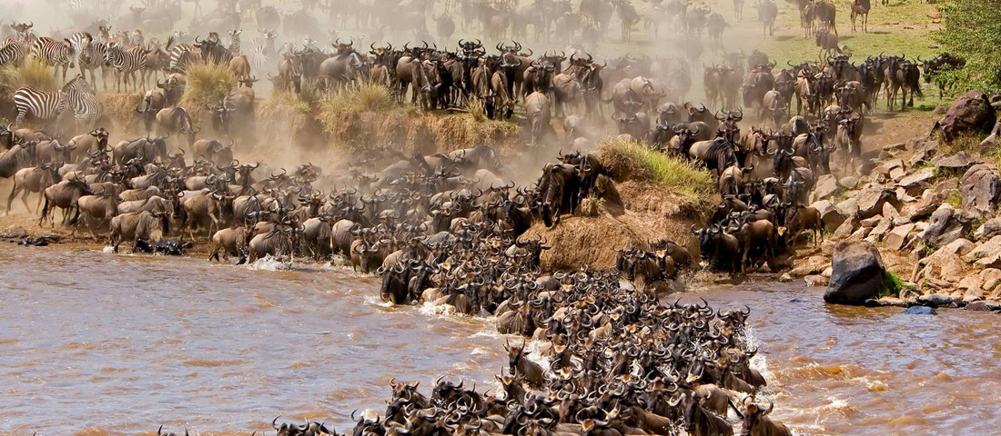 6-Days-Serengeti-Migration-Safari-Banner