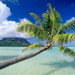 Answers to the most popular Zanzibar Travel